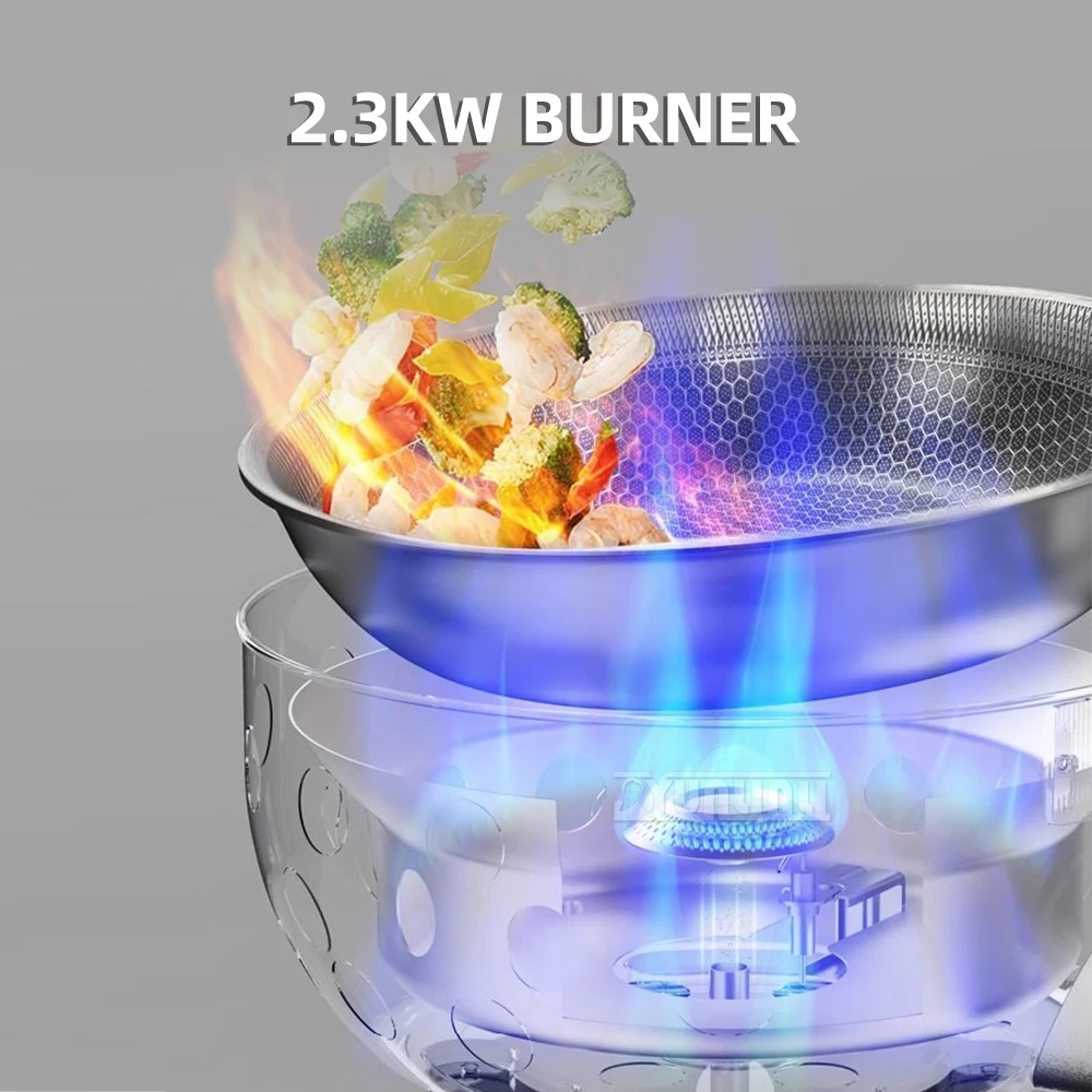 Outdoor Portable Cassette Stov - Camping Hiking Cooking 评论和价格